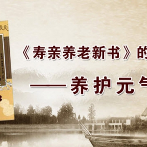 《养生堂》20131106视频:王玉英讲如何才能长寿、七养诀、固护元气的方法、山药酒制作方法