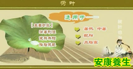 荷叶