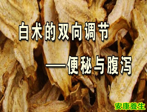 白术