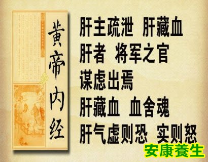 寿亲养老新书