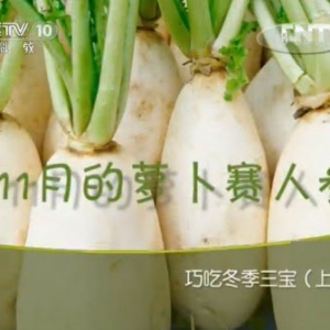《健康之路》20131117视频:张晔讲萝卜生姜饮、吃萝卜的禁忌、介绍萝卜汁的功效、储藏萝卜