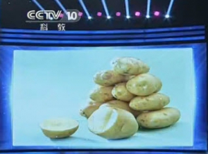 20131118《健康之路》视频和笔记:张晔讲巧吃冬季三宝(中)土豆的妙用