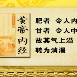《养生堂》20131119视频:余瀛鳌 孙波讲糖尿病的症状、消渴症、糖尿病合并症
