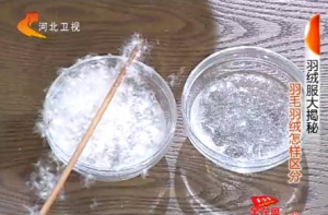 家政女皇20131112视频:董金狮讲羽绒的区分、如何避免羽绒跑出来、正确清洗羽绒服