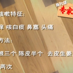 家政女皇20131128视频:陈允斌讲对抗雾霾保护肺、积食咳嗽治疗、火烧红橘、珊瑚蓑衣萝  ...