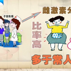 饮食养生汇20131128视频:谭先杰讲导致子宫肌瘤的原因、子宫肌瘤的治疗、鱼子烧豆腐的 ...