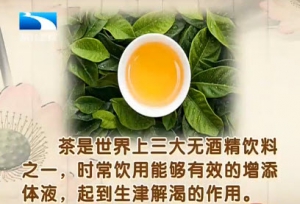 饮食养生汇20131126视频:王凤岐讲茶的养生功效、茶叶虾的制作方法