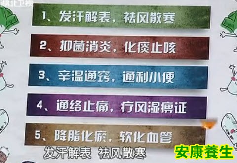 葱