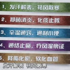 饮食养生汇20131122视频:王凤岐讲葱的功效、葱的妙用、葱油拌面的制作方法