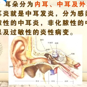 饮食养生汇20131115视频:闫汝蕴讲中耳炎的分类、危害、治疗、鼓膜穿孔、胆脂瘤性中耳  ...