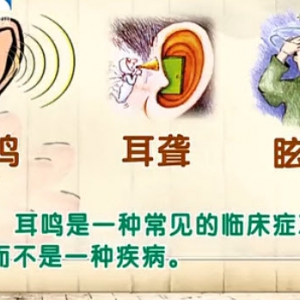 饮食养生汇20131114视频:闫汝蕴讲耳科三大难症、耳鸣的症状、土豆泥春卷