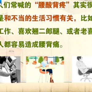 饮食养生汇20131106视频:赵之心讲腰酸背痛的原因、腰酸背痛与坐姿的功效、芒果牛肉粒