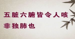 《养生堂》20131202视频：贾海忠讲咳嗽的不同种类、特点、五味子对治疗咳嗽的奇效