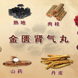 《养生堂》20131204视频:贾海忠讲金匮肾气丸、一味薯蓣饮、双山饮