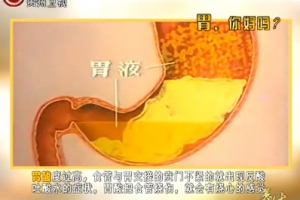贵州卫视养生20131204视频：纪小龙讲如何预防胃癌、胃酸过多、胃溃疡、胃炎