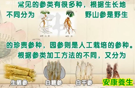 人参