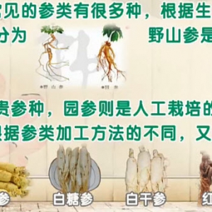 饮食养生汇20131210视频:李智讲人参,脱症,闭症,人参的种类,米酒蒸咸鱼的制作方法