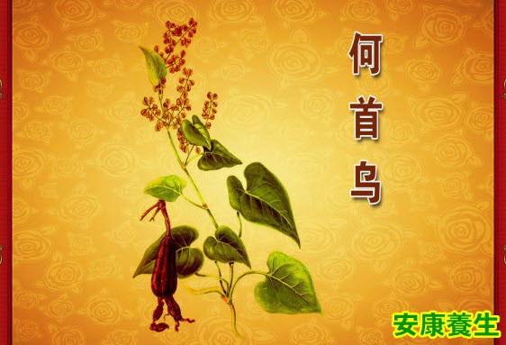 血瘀阻络