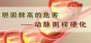 《养生堂》20131215视频和笔记:陈红讲胆固醇过高的危害、胆固醇升高的原因、动脉粥样硬化