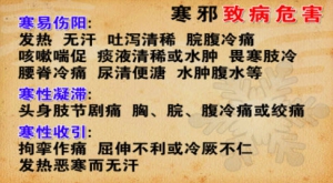 《养生堂》20131216视频:梁永宣,祝肇刚讲寒邪致病的危害,邪气与关节关系,屠苏酒的保健功效
