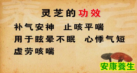 灵芝