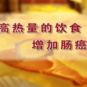 《养生堂》20131226视频和笔记:苏向前讲癌症的高危因素,饮食防癌,大肠癌,肥胖,便秘
