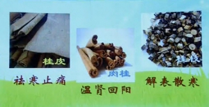 《健康之路》20131215视频和笔记:陈飞松讲手脚冰凉,肉桂,熟地,炮姜