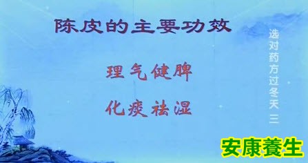 陈皮