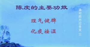 《健康之路》20131217视频和笔记:陈飞松讲陈皮,止咳化痰,白果,二陈丸