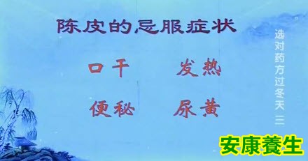 陈皮