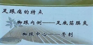 《健康之路》20131219视频和笔记:温建民讲足跟痛,足弓,骨刺,脚垫