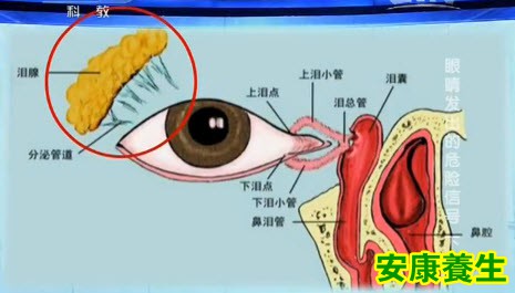 迎风流泪是怎么回事