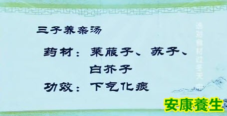 三子养亲汤所用药材及功效