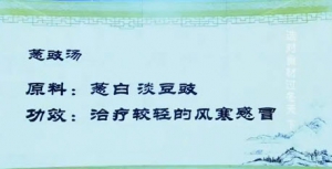 《健康之路》20131229视频和笔记:陈勇讲大葱,韭菜,茴香,雪里红
