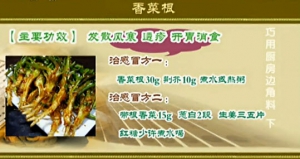 《健康之路》20131231视频和笔记:张斌讲香菜根,玉米须,藕节,葱白