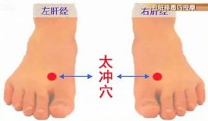 健康有道20131216视频和笔记:龚全心讲内生之毒,心火,五脏排毒