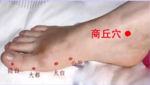健康有道20131217视频和笔记:龚全心讲排毒,引导灸,吐纳法,商丘穴