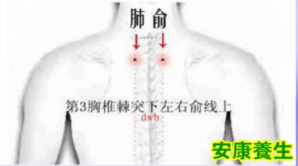 肺俞