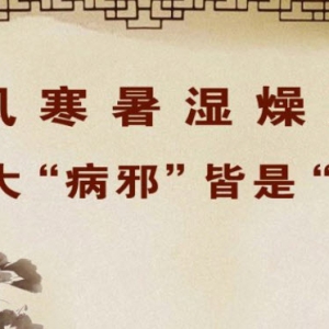 《养生堂》20140104视频和笔记:杨志旭讲毒邪入侵人体的特征,韭叶芸香,保暖,扶固正气