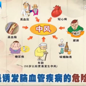 饮食养生汇20131213视频和笔记:讲脑中风,脑出血,萝卜丝炒培根
