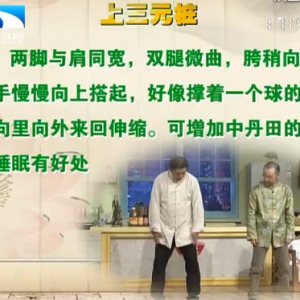 饮食养生汇20131225视频和笔记:芦春讲太极上三元桩,青龙探海功