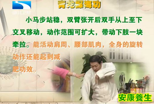 青龙探海功