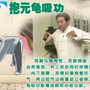 饮食养生汇20131226视频和笔记:芦春讲抱元龟息功,马步双推掌