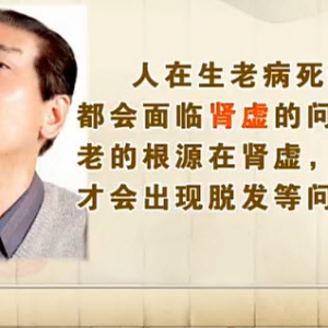 饮食养生汇20131227视频和笔记:肖相如讲肾虚,生育年龄,迟脉,数脉