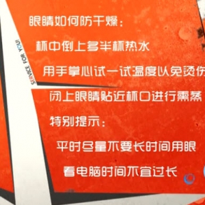 家政女皇20131217视频和笔记:李智讲静电,眼干,洗澡,除燥养生粥