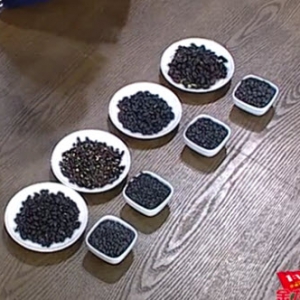 家政女皇20131225视频和笔记:张晔讲黑豆的种类,黑豆的营养价值