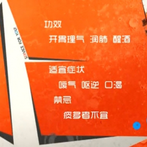 家政女皇20140102视频和笔记:陈允斌讲橙子,橘子,搓橙,橙皮糖水