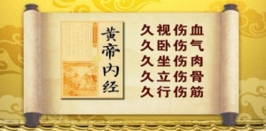 《养生堂》20140106视频:身体祛毒三部曲3 任督二脉的畅通排毒