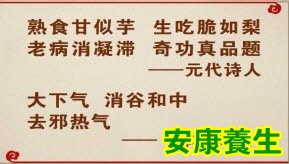 本草纲目
