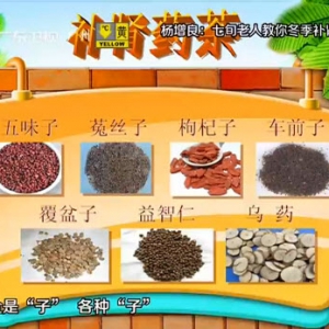 健康有道20140109视频:杨增良讲补肾,肾精亏损,补肾药茶,五子衍宗丸,三黑三仁三味饮